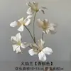 Simulación de orquídea de llama 7 bauhinia área de bienvenida fondo pared arreglo floral decoración flor de seda escenario guía de camino simulación flor