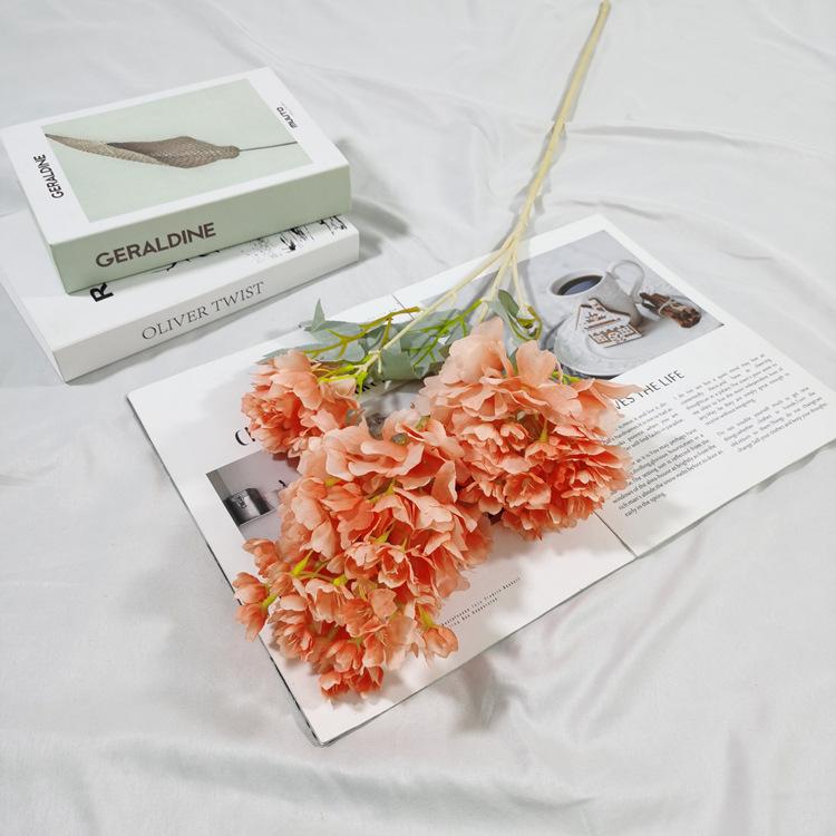 IMG_20220224_152917_副本