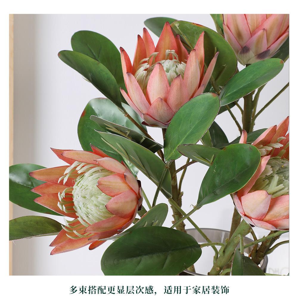 小帝王-8.13_08.jpg