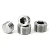 Em Estoque Plug Hexagonal Interno Din906 Pt1/16~M27 Aço Inoxidável 304 Plug
