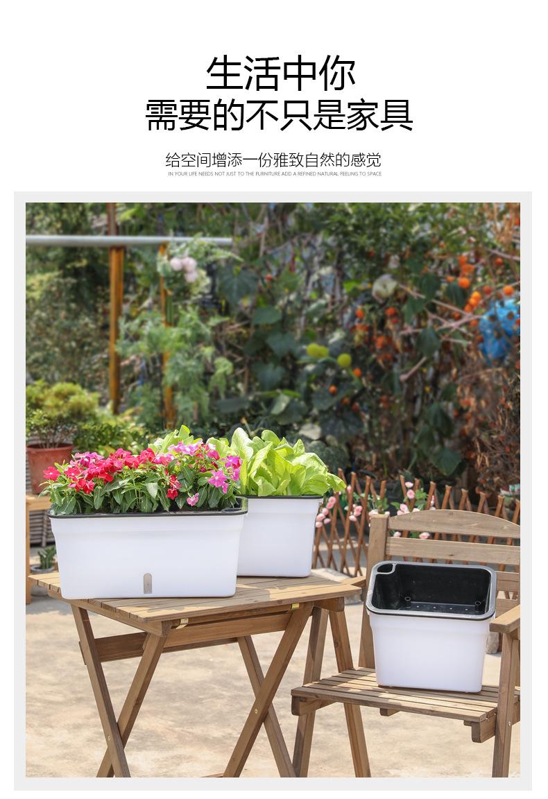 详情5