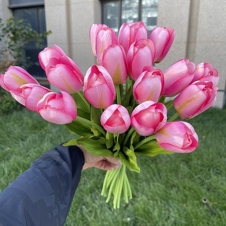 20头把束包芯郁金香-浅紫红.JPG
