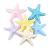 Accesorios de Resina Serie Marina Decoración DIY Tanque de Peces Paisaje de Estrellas de Mar Plataforma de Muebles para el Hogar Micro Adornos Venta al Por Mayor