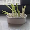 Regenerador de maceta para plantar cebollín y cebolla de verdeo, gadget hidropónico de cocina para cultivo de verduras en balcón casero, herramienta de cultivo para personas perezosas, artículo decorativo