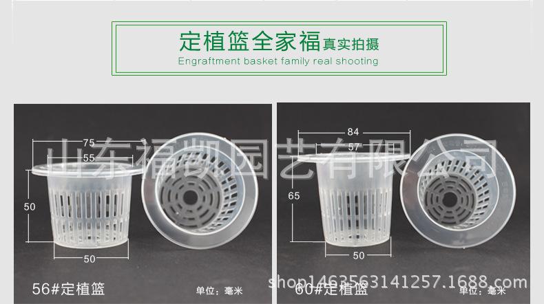 56#-100#定植篮详情页_03