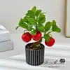 Plantas en Maceta de Frutas Simuladas, Pequeños Adornos Creativos para Decoración de Interiores, Plantas Verdes, Plantas Artificiales en Maceta, Flores Artificiales Simuladas, Bonsái de Árbol Frutal