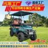 Exportación de Carritos de Golf Transfronterizos para Parques, Zonas Turísticas, Hoteles, Turismo, Off-Road y Uso en la Playa; Carritos de Golf Eléctricos
