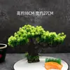 Hotel Sashimi Mariscos Moriawase Decoración de Presentación Flores Plantas Plato Creativo Adorno Pino Decoración de Plato Pequeños Adornos Decoraciones