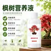 Solución Nutritiva Especial para Arce, No Requiere Dilución, Previene la Caída de Hojas, Marchitamiento, Amarillamiento, Promueve Nuevos Brotes, Solución Nutritiva para Bonsái de Interior y Exterior