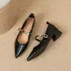Y303-13 Sapatos Femininos Mary Jane de Uma Tira com Bico Fino, Outono 2026 Versátil para o Trabalho Rasteirinhas de Boca Rasa Vintage