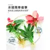 Plantas Hidropónicas en Maceta con Flores, Flores de Interior y Plantas Verdes, Plantas Acuáticas Fáciles de Cuidar en Todas las Estaciones, Rábano Verde, Espárragos Ricos, Arracacha, Palmera Roja y Blanca
