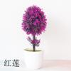 Changchun Oficina del Árbol Adornos de Escritorio Hogar Conjunto Versátil Joyería Creativa Fresca Mini Flor Artificial Planta en Maceta