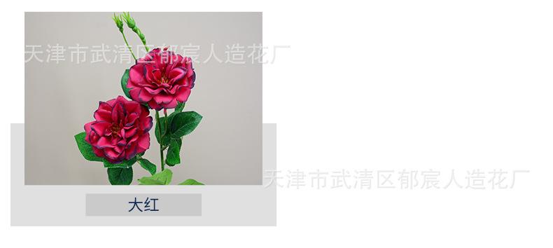 详情_03.jpg