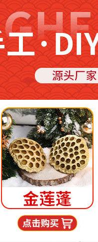 小鸟详情_01_02_02