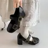 Sapatos Mary Jane Franceses Retrô de Salto Grosso para Mulheres, Novo Estilo Primavera 2026, Versáteis com Saias, Sapatos de Couro de Salto Alto Baixos