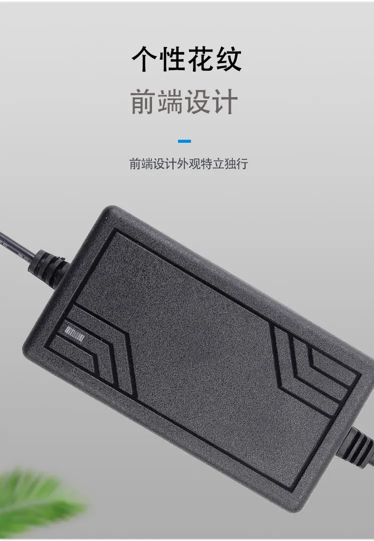网型双线12V2A_09