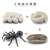 Simulación Transfronteriza Modelo de Araña Real Unicornio Insecto Juguetes para Niños Mariposa Abeja Adornos de Animales