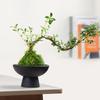 Estilo Chinês Junho neve bambu cálamo bola vaso de cerâmica para flores paisagem sala de estar área de trabalho retro Zen Jianshan utensílios para arranjos florais