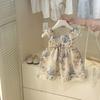 Coleção de Vestidos de Bebê Irmãzinha Roupas Infantis Meninas Verão Vestidos Estilosos Atacado Peça Única Dropshipping Tendência