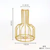 Copo de vento simples tubo de ensaio endro verde hidroponia planta verde ornamentos de ferro forjado cultivo de planta verde arranjo de flores recipiente artesanato decorativo