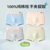 Ropa interior para niños, Algodón puro, Algodón clase a, Para adolescentes, Período de desarrollo, Niños, Niños medianos y grandes, Calzoncillos bóxer talla grande