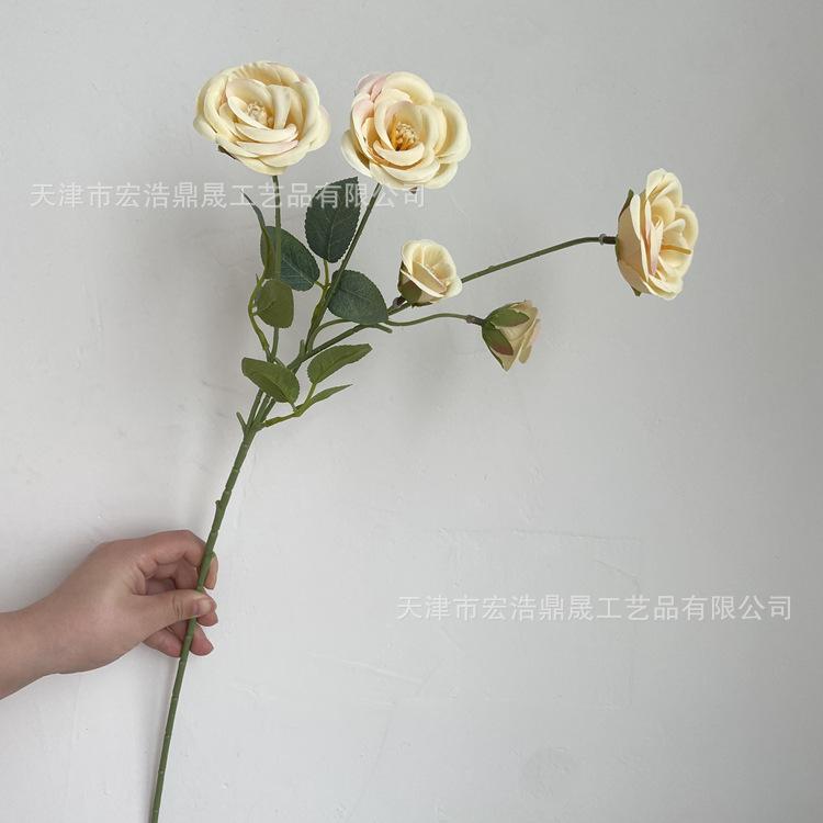 微信图片_202204111604487_副本