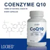 La Cápsula de Coenzima Q10 Más Vendida de Amazon Fábrica de Origen de Cápsulas de Coenzima Q10 Spot de Exportación