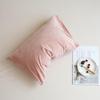 Paquete de Par de Fundas de Almohada de Terciopelo Funda de Almohada Individual 48cm x 74cm Individual Doble Niños ins Popular en Internet