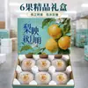 Pera Qiuyue Autêntica de Laiyang, Shandong, Fruta Fresca da Estação, Caixa Inteira Caixa de Presente, Peras Frutas Frescas da Estação