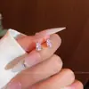 Brincos de Osso da Orelha Exquisitos em Microcravação de Diamante Estilo Coreano para Mulheres, Design de Nicho da Moda, Conjunto Versátil Simples e Pequeno de Brincos e Joias de Orelha