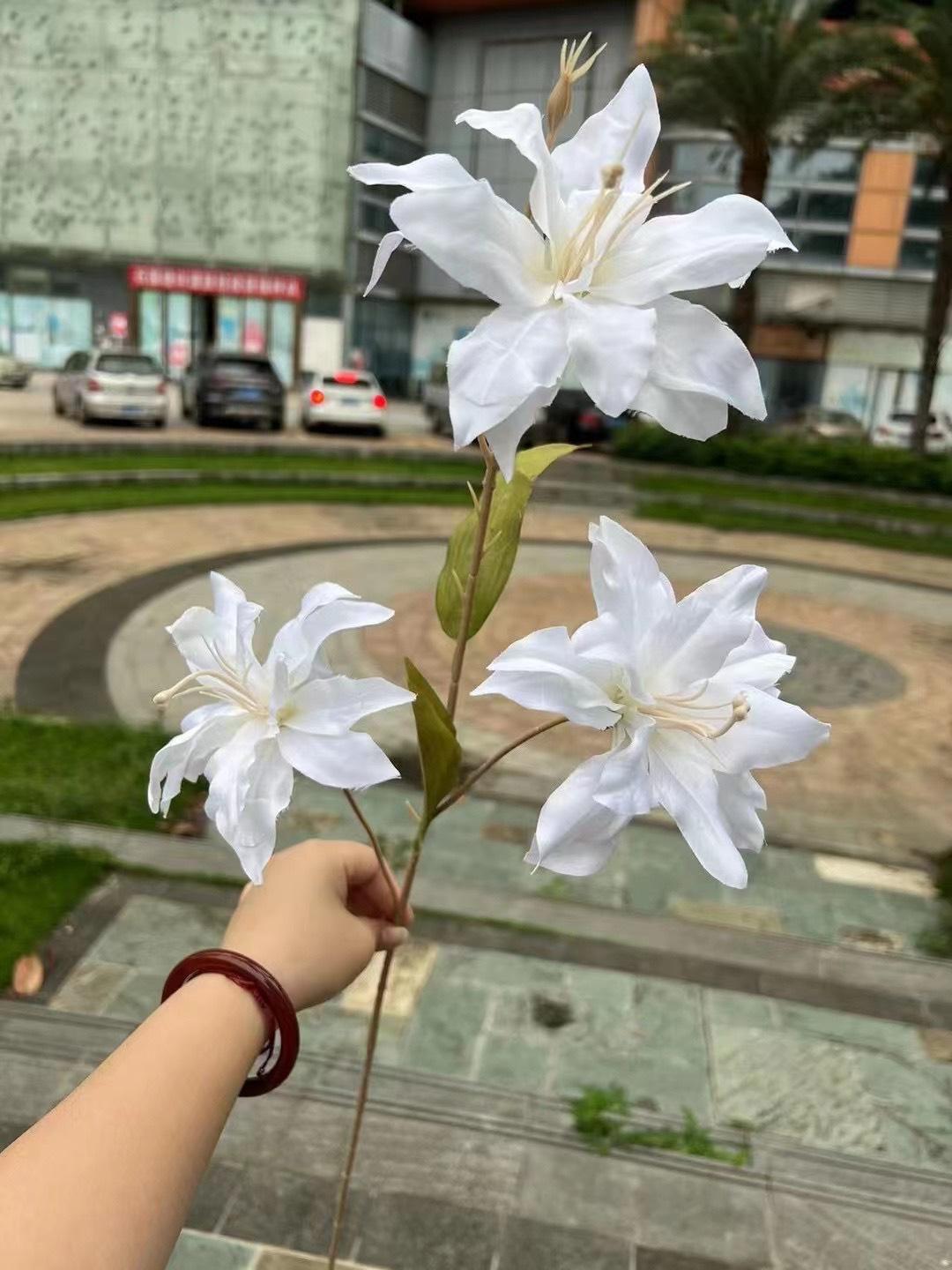 微信图片_20240728115744.jpg
