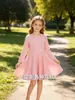 Nueva colección otoño 2026: Vestido infantil de estampado a cuadros estilo TikTok, disponible ahora, estilo Temu, vestido casual de manga larga europeo y americano