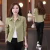 Jaqueta Camisa Fina de Primavera e Outono para Mulheres, Tamanho Petite, Moda Casual Coreana Estilo 2026, Blusa Curta de Manga Longa com Gola Reversível