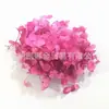 Folha de pequeno e médio porte em forma de torre de madeira de grau A Hortênsia Flor eterna Material da flor Tanabata Natal Dia dos Namorados Aniversário Caixa de presente Material
