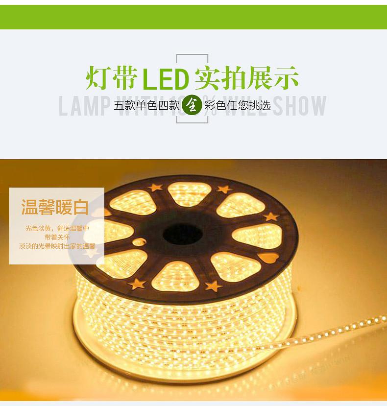 LED灯带2835双排家用客厅吊顶220v防水户外超高亮双排
