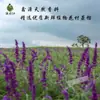 Hidrosol de Salvia Feliz Líquido Puro 1kg Extracto de Planta Tónico Facial Hidratante Agua Floral Destilada Materia Prima Al Por Mayor