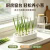 Caja de cultivo para regeneración de cebolleta hidropónica, sin mantenimiento, caja de cultivo fácil para balcón y alféizar, herramienta casera para cosecha rápida de cebolleta