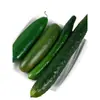 Modelo de pepino de simulación Rodajas de pepino gordo Fruta de pepino verde Gabinete de frutas y verduras Decoración para transmisión en vivo de cocina Accesorios Juguetes para casa de juegos