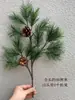 Galhos de pinho com frutos galhos de pinho falsos paisagem de pinho agulhas de pinho pinho negro galhos de cipreste pinho de boas-vindas árvore de Natal cavalinha grande pinho