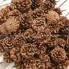 Decoración de piña piña piña bola flor seca hecha a mano DIY creación de ambiente de jardín de infantes del bosque ramas secas adornos creativos silvestres