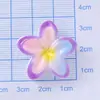 Accesorios de Resina con Flor de Cinco Pétalos Degradado Brillante Adornos para el Cabello con Pegamento Cremoso Charms para Zuecos Accesorios DIY Venta al por Mayor