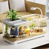 Acuario Pequeño Creativo para Uso Doméstico, Acuario de Paisajismo para Sala de Estar, Adecuado para Cría de Peces Dorados y Peces Ornamentales, Acuario Ecológico Transparente con Tapa