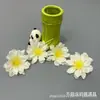 Flor de Peonía Llama Pintura al Óleo Simulada Flor de Muñeca Pasador Flor Caja de Regalo Hecha a Mano con Flores Ropa Gorro de Graduación con Flores