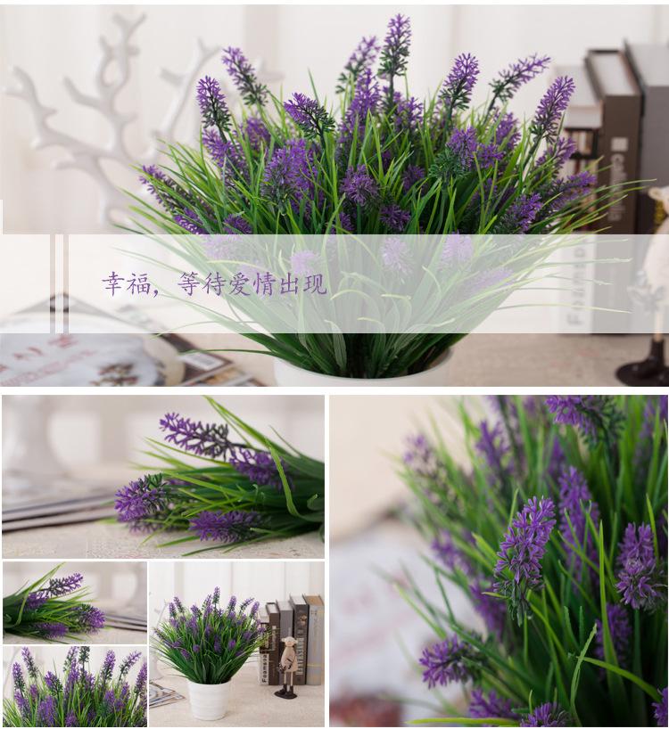 详情11.jpg