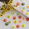 Accesorios para Uñas Macaron Frescura de Primavera Margarita, Populares Frescos Estilo Dopamina Margarita Girasol 3D
