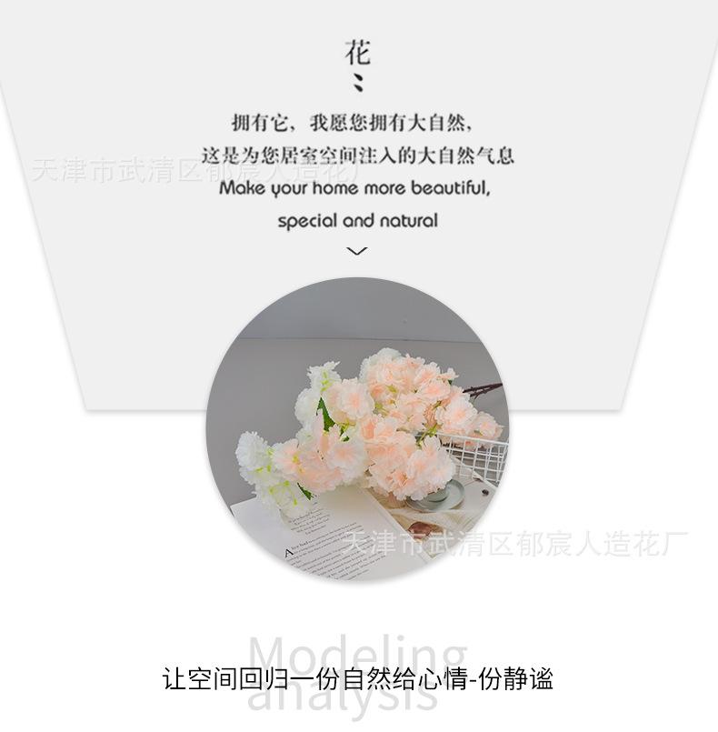 详情_05.png