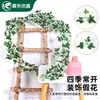Vid Simulada Transfronteriza Hojas de Eucalipto Ratán de Eucalipto Hogar Boda Plantas Verdes Simuladas Decoración de Mesa Ratán Simulado