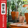 Vaso de Acrílico Inquebrável Ornamento para Sala de Estar, Recipiente Hidropônico Transparente de Bambu, Balde de Flores de Luxo Leve de Alta Qualidade