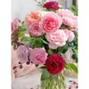Planta de Rosas para Balcón con Semillas de Rosa, Rosas en Maceta de Fragancia Fuerte Todo el Año, Plantas de Flores Extra Grandes para Balcón y Patio