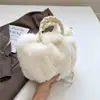Otoño/Invierno 2026 Elegante de Moda Nueva Bolsa de Nube de Felpa Plegada Simple Temperamento Cruzada de Mano Pequeña Cuadrada Moderna